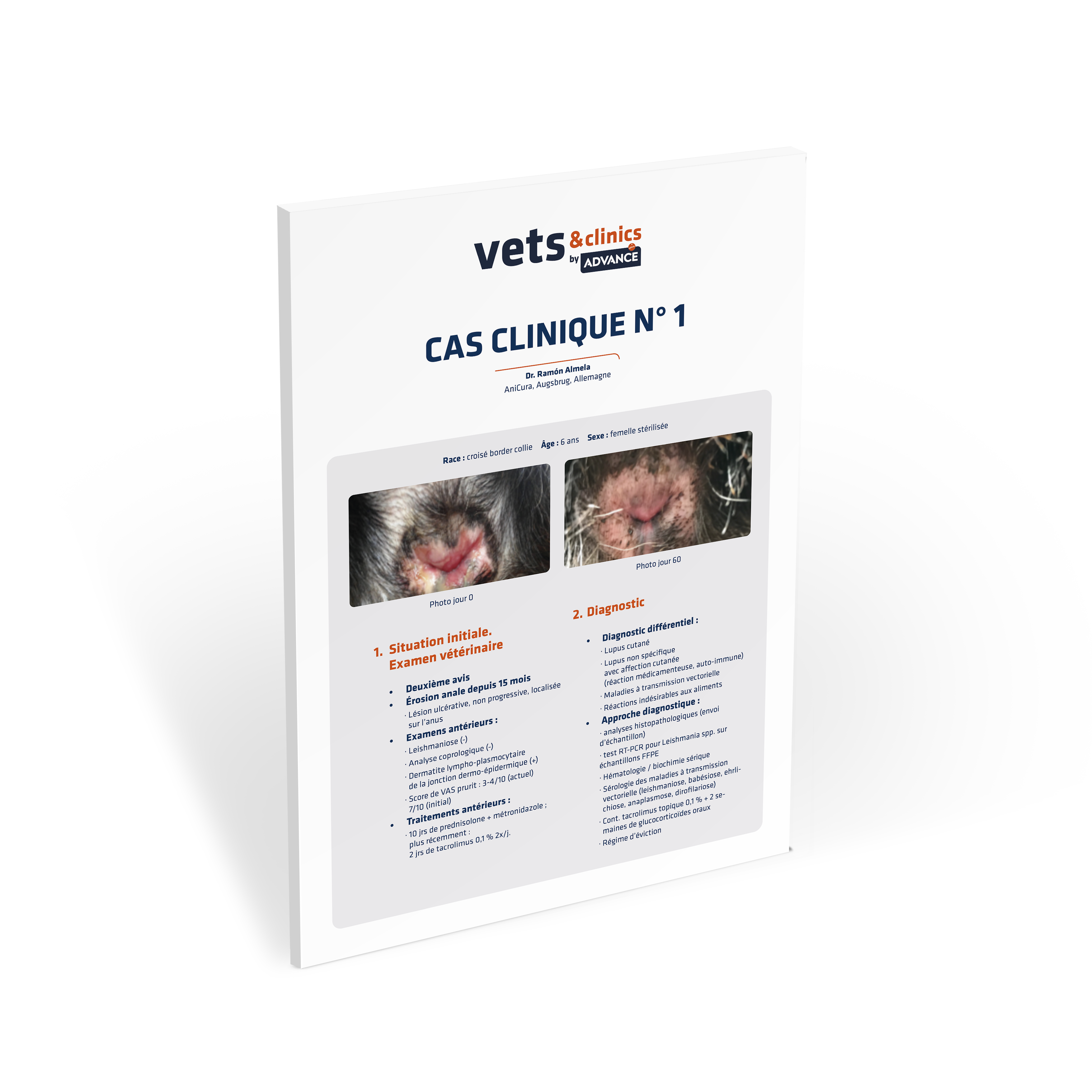 CLINICAL REPORT SUR LE LUPUS ÉRYTHÉMATEUX CUTANÉOMUQUEUX